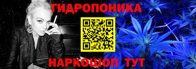 герыч Новодвинск