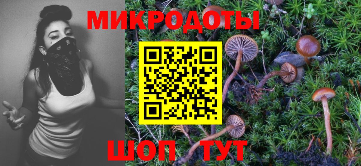 Галлюциногенные грибы GOLDEN TEACHER Аксай
