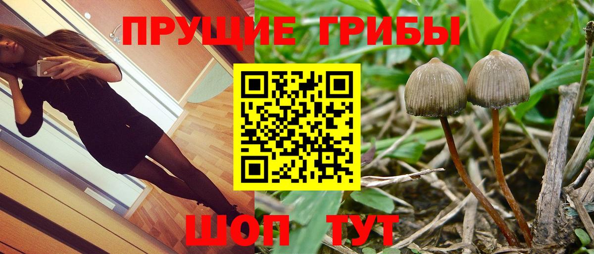что такое наркотик  Вход с VPN  Аксай  Галлюциногенные грибы Psilocybe  Псилоцибиновые грибы мухоморы 